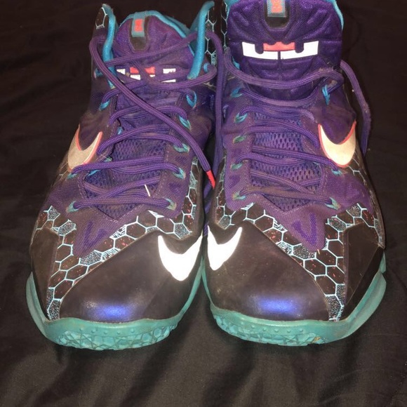 Lebrons - Picture 2 of 2